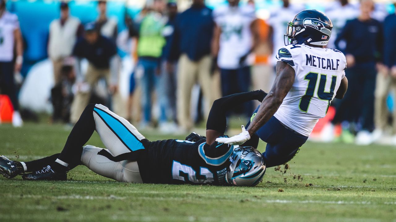 Panthers vs Seahawks Week 14 preview: 5 Questions with Field Gulls - Cat  Scratch Reader