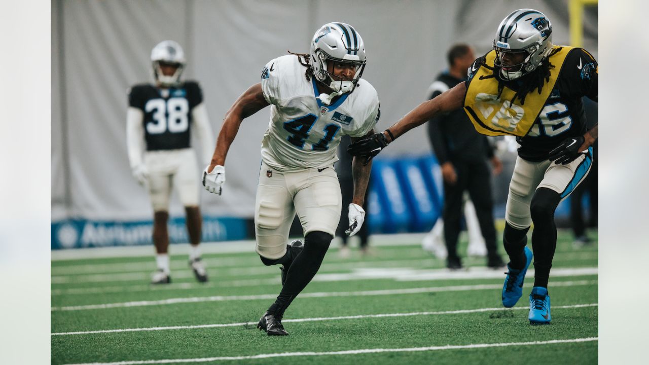 Carolina Panthers running back Spencer Brown (41) looks on against