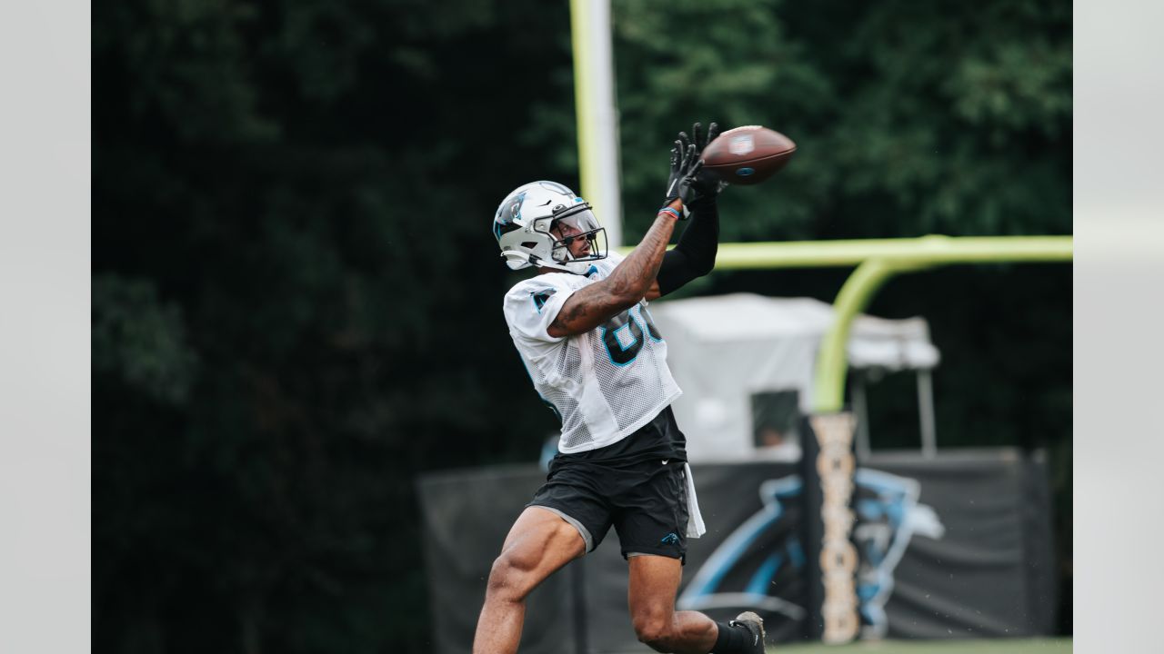 Panthers' Horn returns, has chance to be a 'special player' - The Sumter  Item