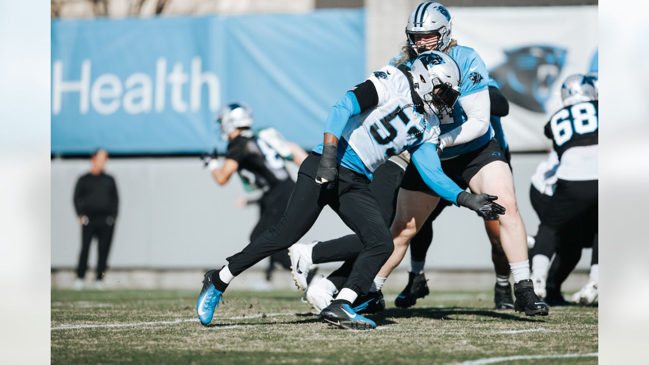 Carolina Panthers Sam Darnold Cam Newton - TSN.ca