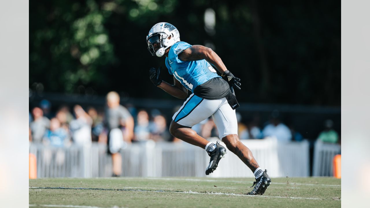 Carolina Panthers placed Daviyon Nixon on injured reserve