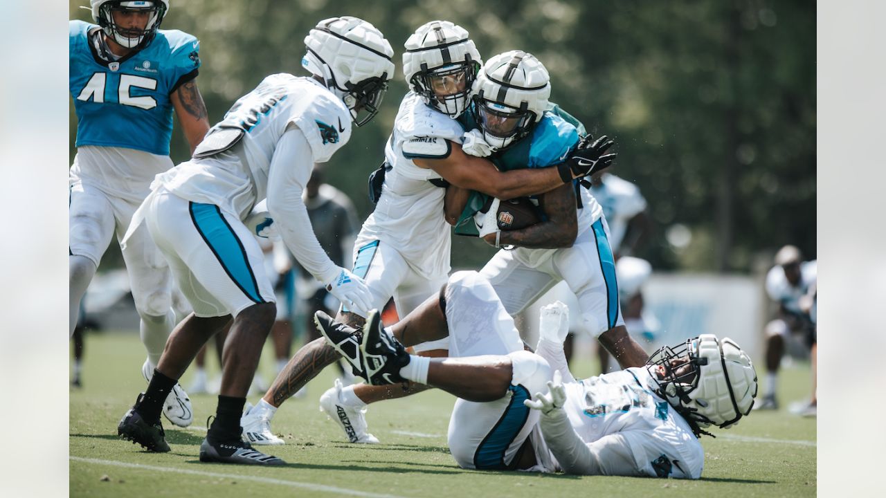 Panthers 17 Lions 26: Bryce Young looks sharp in preseason finale - Cat  Scratch Reader