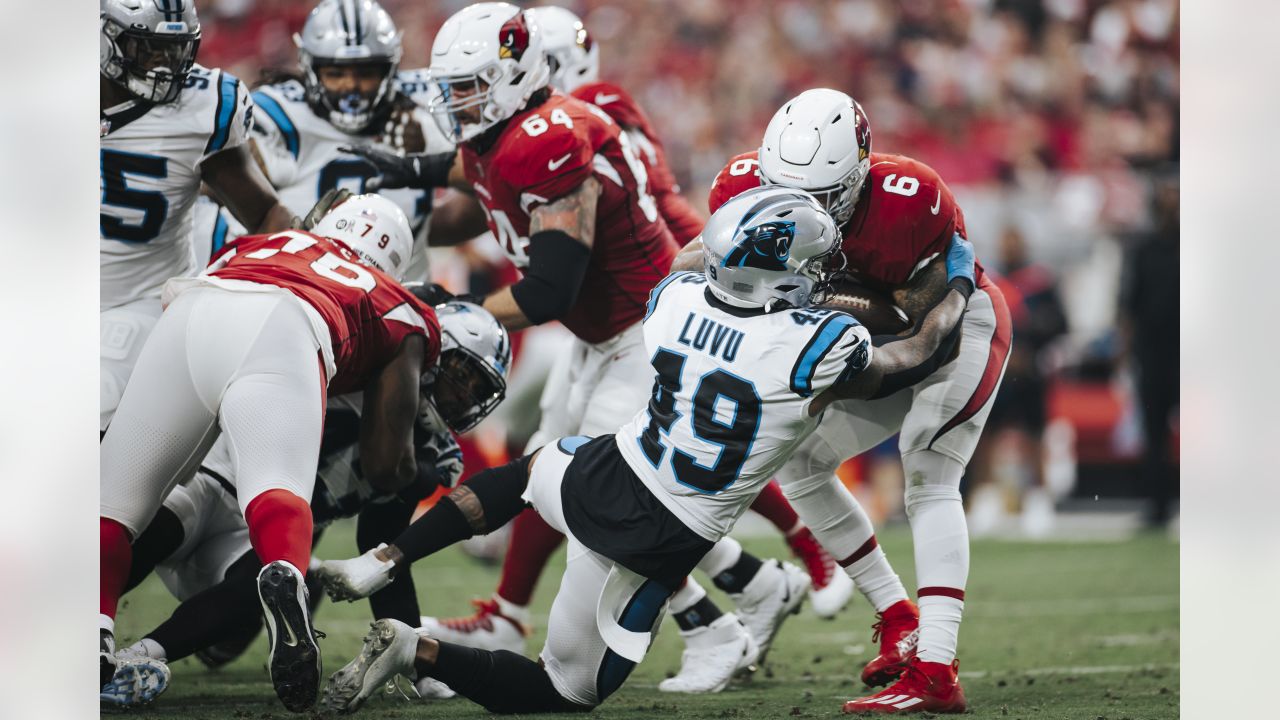 Panthers' Newton inactive against Cardinals – KXAN Austin