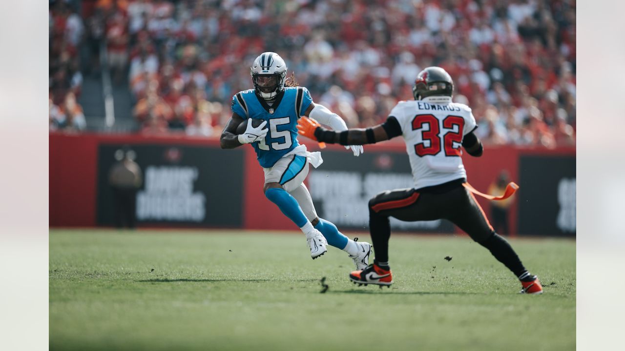 Panthers' division title hopes dashed in 30-24 loss to Bucs