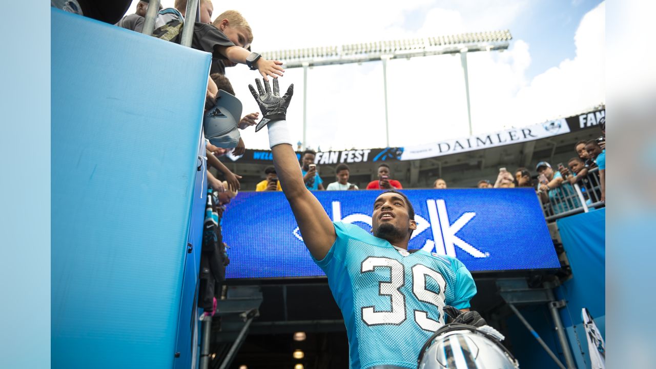 Carolina Panthers Fan Fest: How to Get Your Tickets - Cat Scratch