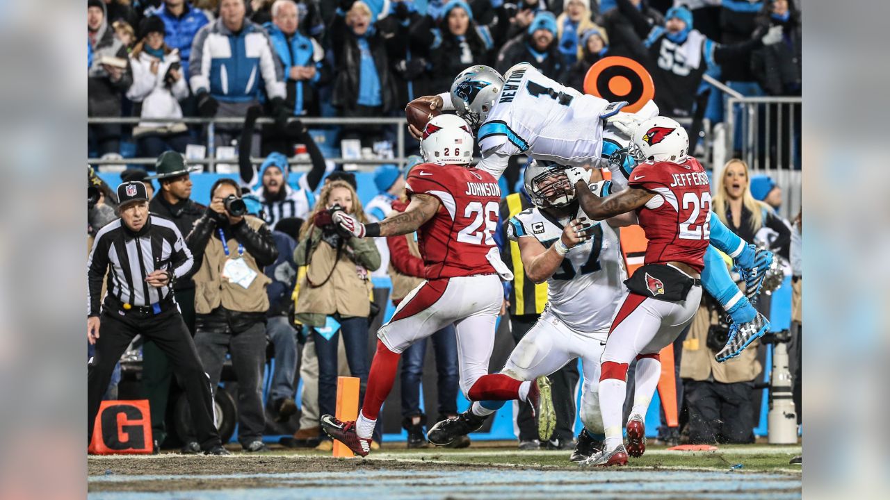 Carolina Panthers vs Arizona Cardinals NFL Week 4 game preview - Cat  Scratch Reader