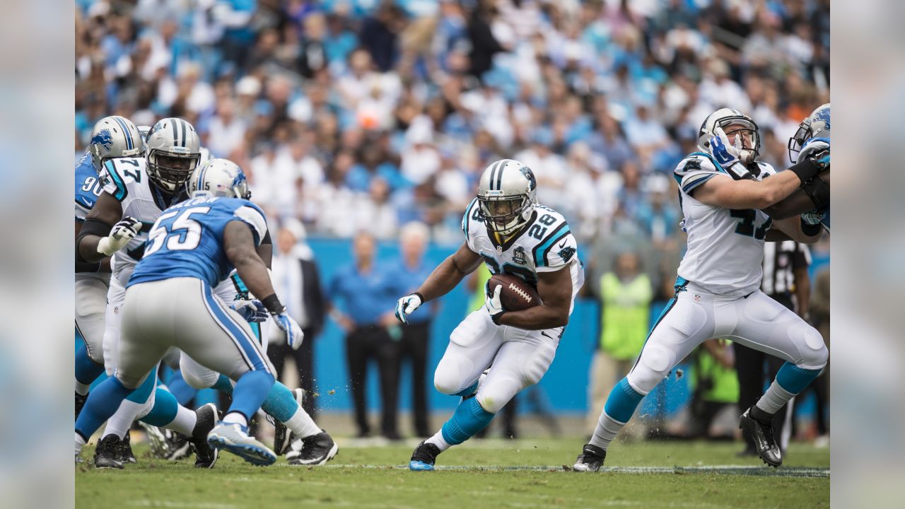 Detroit Lions Clash with Carolina Panthers: Storylines to Watch