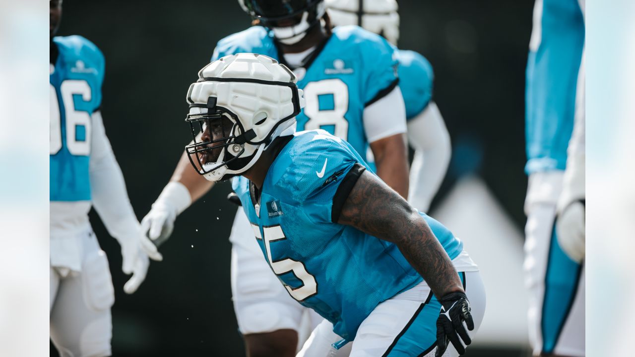 New Panthers DL DeShawn Williams is happy to be home