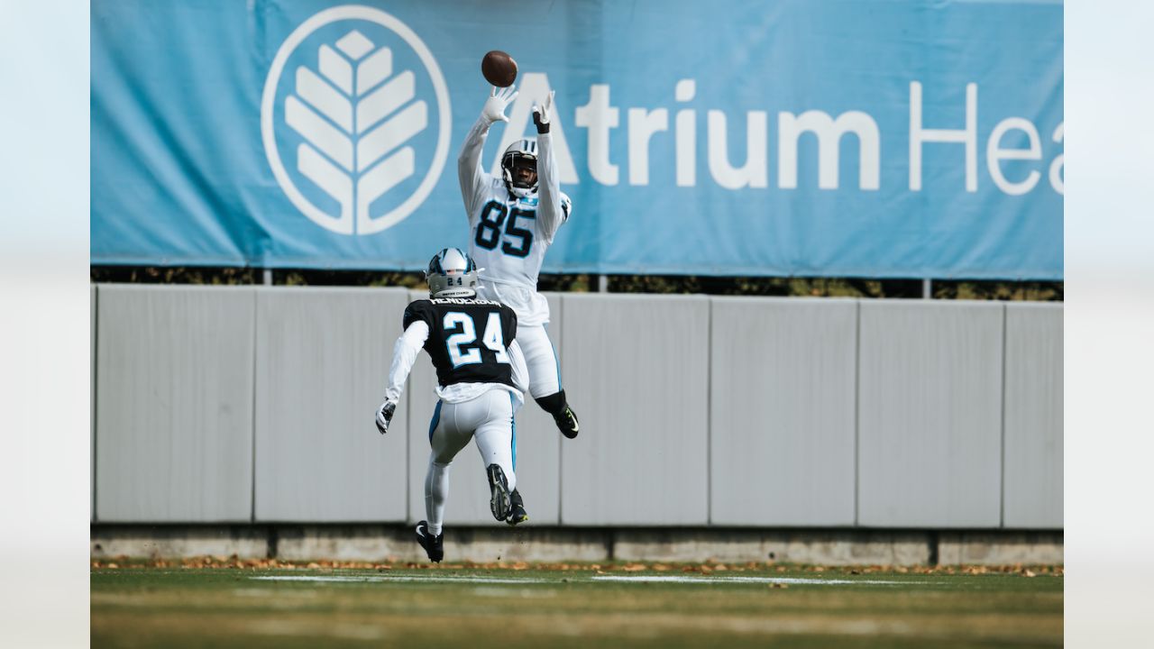 Carolina Panthers cornerback CJ Henderson (24) lines up on defense