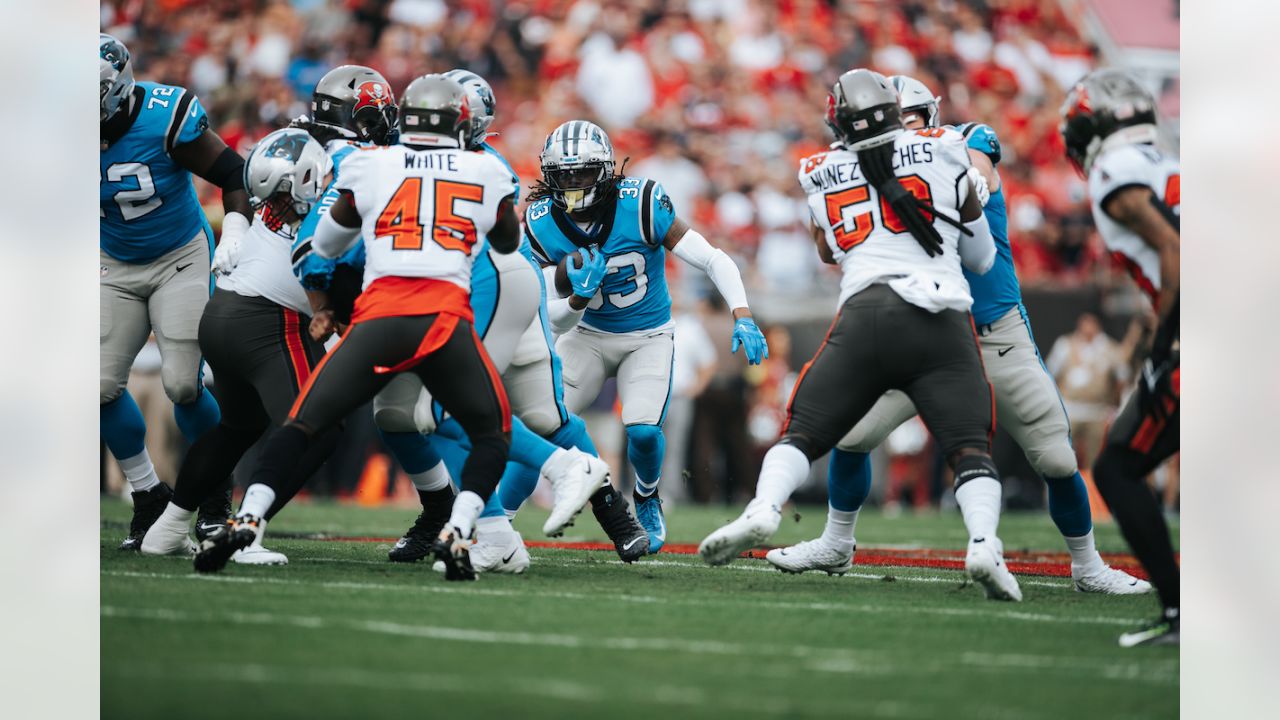 Game day odds for the Tampa Bay Buccaneers and Carolina Panthers - Bucs  Nation