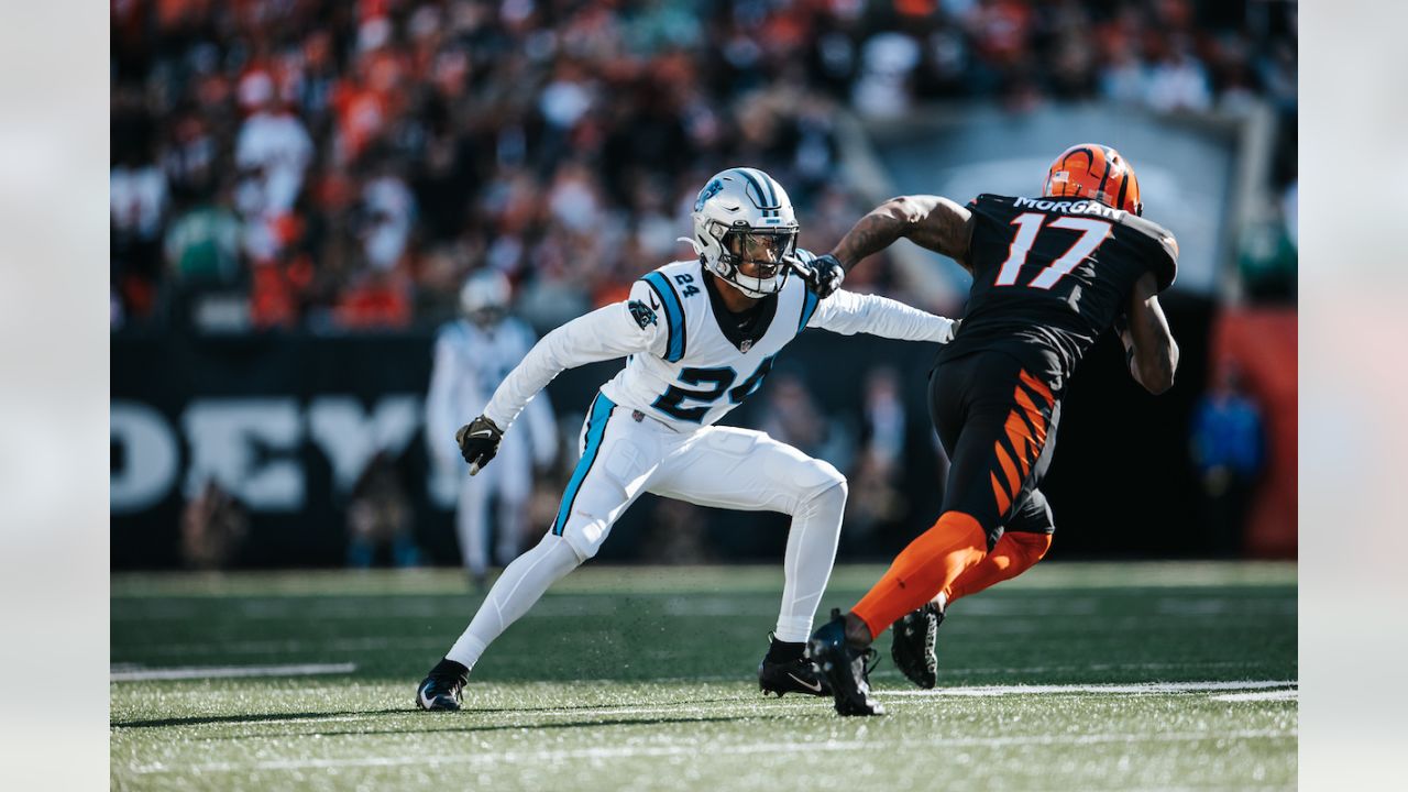 Bengals dominate early, cruise past Panthers 42-21