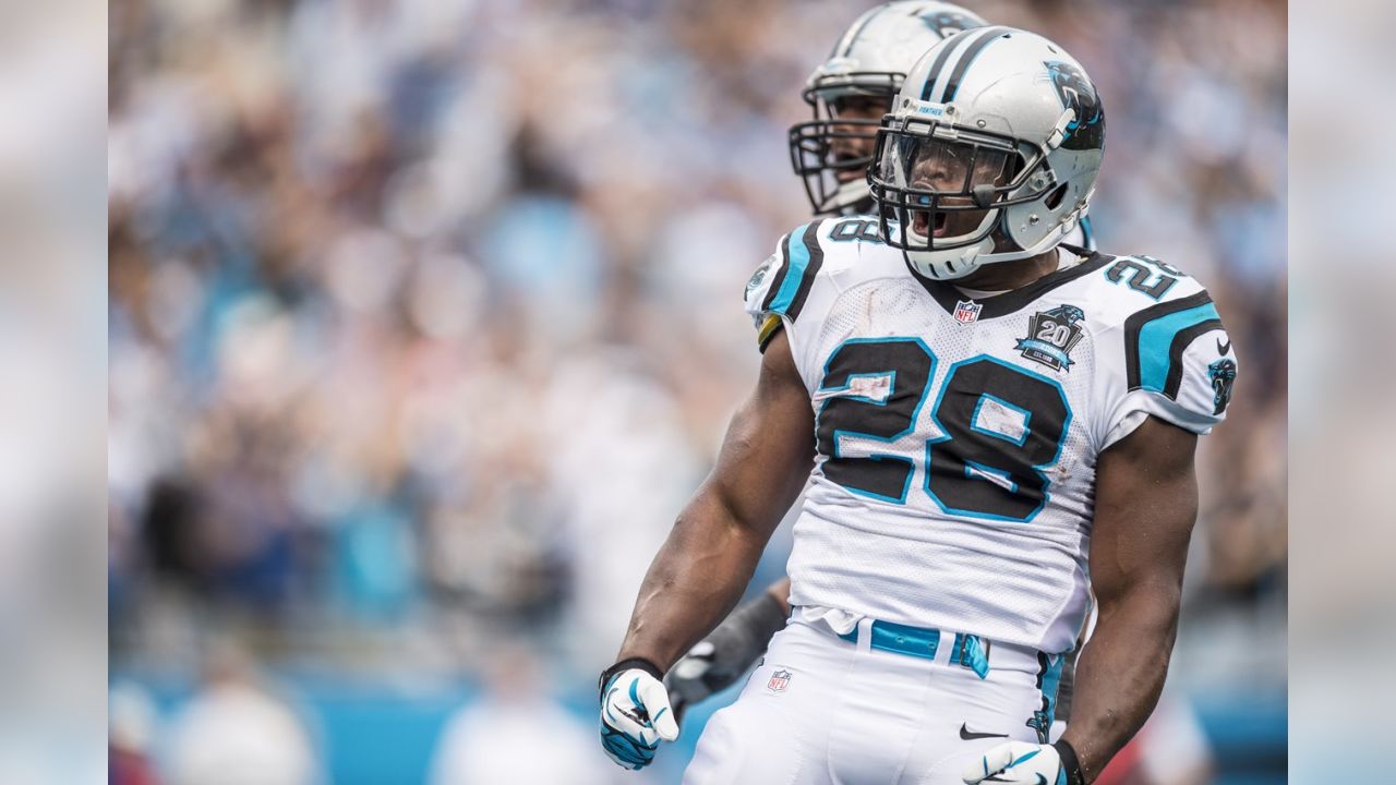 Panthers release Jonathan Stewart