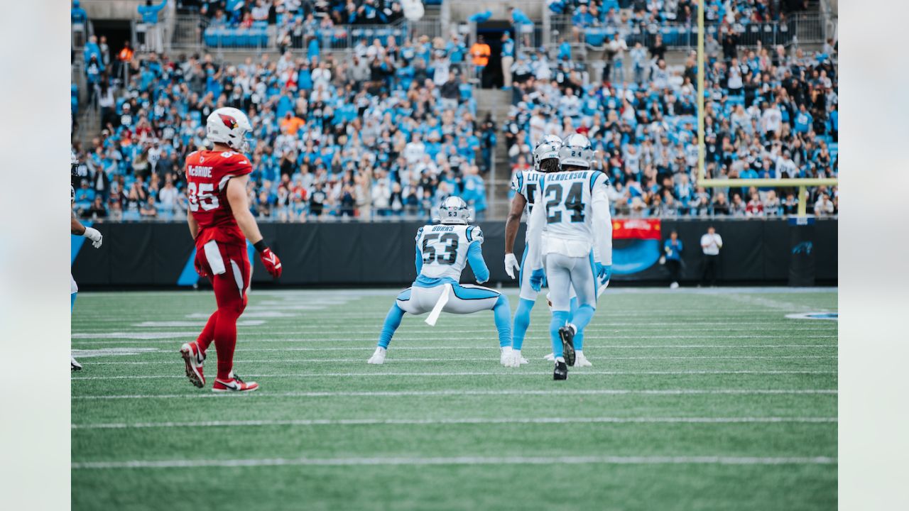 Cardinals-Panthers live scoring updates, highlights, injuries