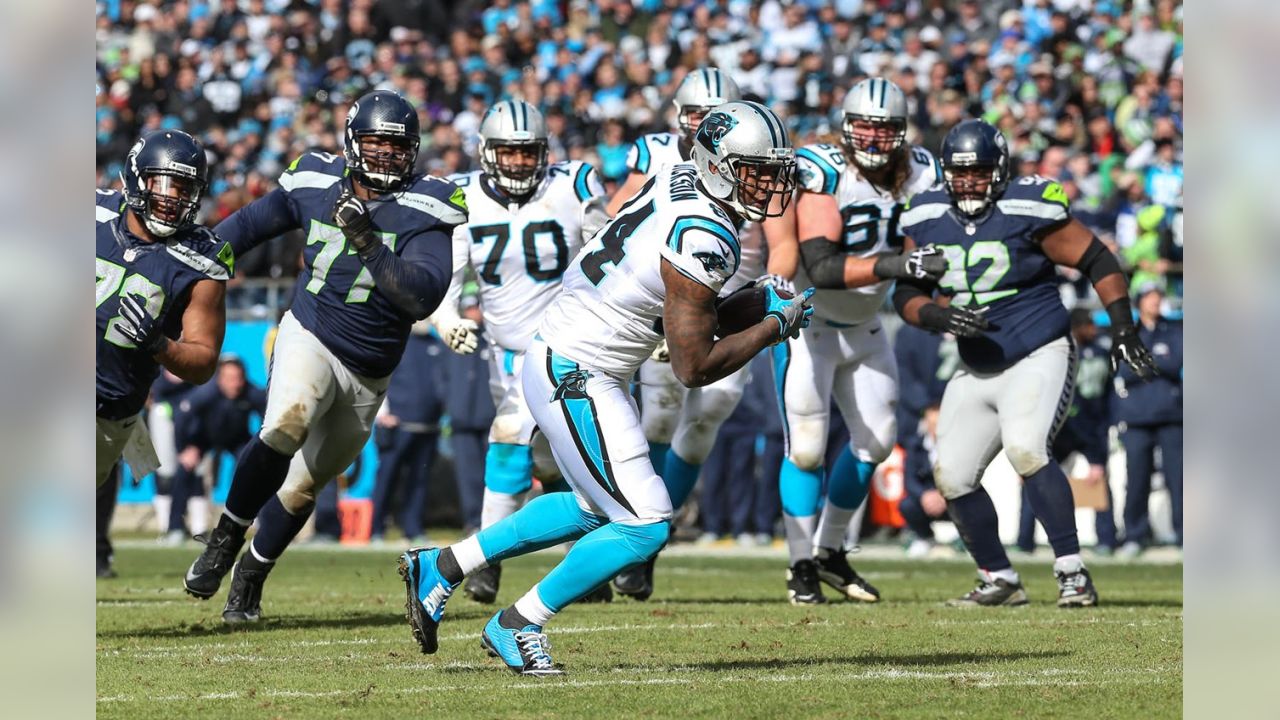 Panthers 2014-2015 schedule  Carolina panthers, Panthers, Panthers football