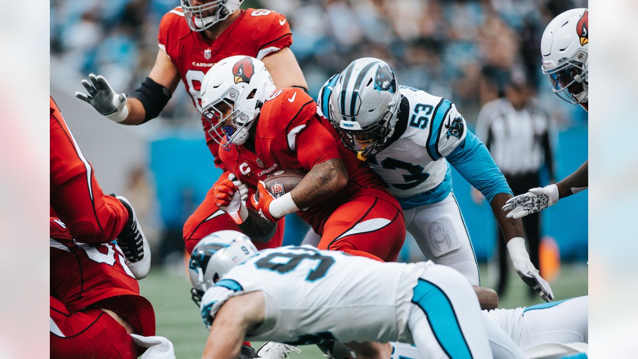 Carolina Panthers defensive end Brian Burns (53) on defense during an NFL  football game against the Carolina Panthers, Sunday, Oct. 9, 2022, in  Charlotte, N.C. (AP Photo/Brian Westerholt Stock Photo - Alamy