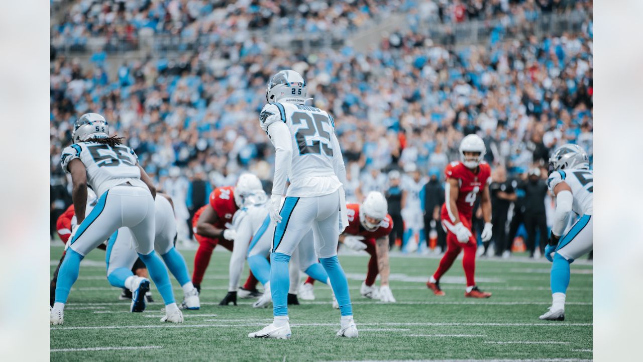 Carolina Panthers fall to the Cardinals 26-13