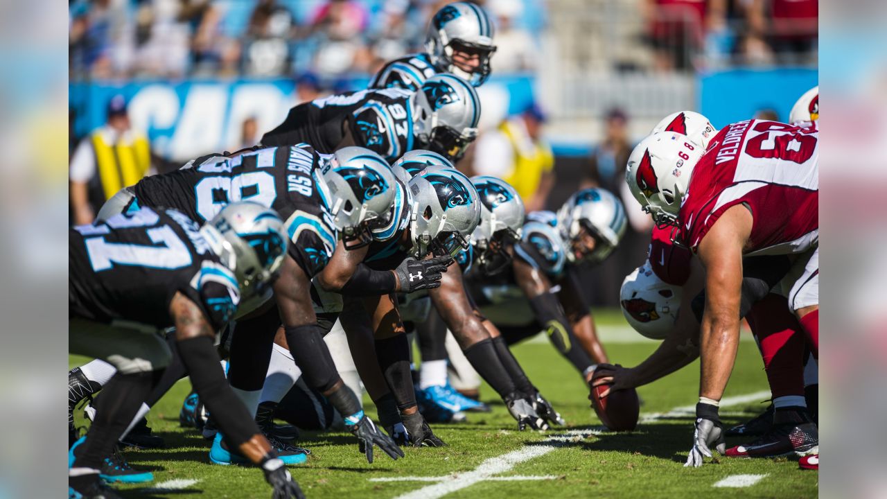 Charlotte, NC, USA. 2nd Oct, 2022. Arizona Cardinals linebacker