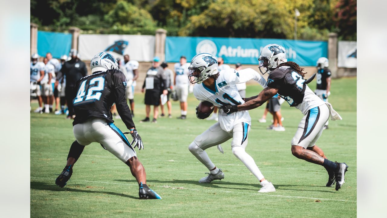 Panthers' Anderson struggling since signing contact extension - The Sumter  Item