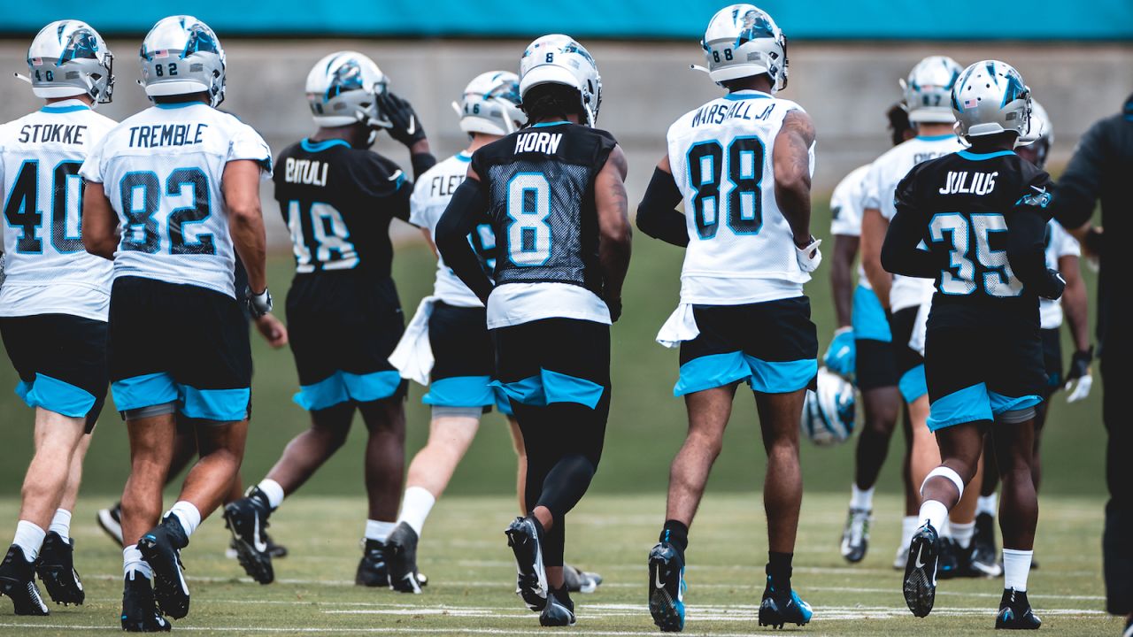 Carolina Panthers: Who is undrafted rookie David Moore