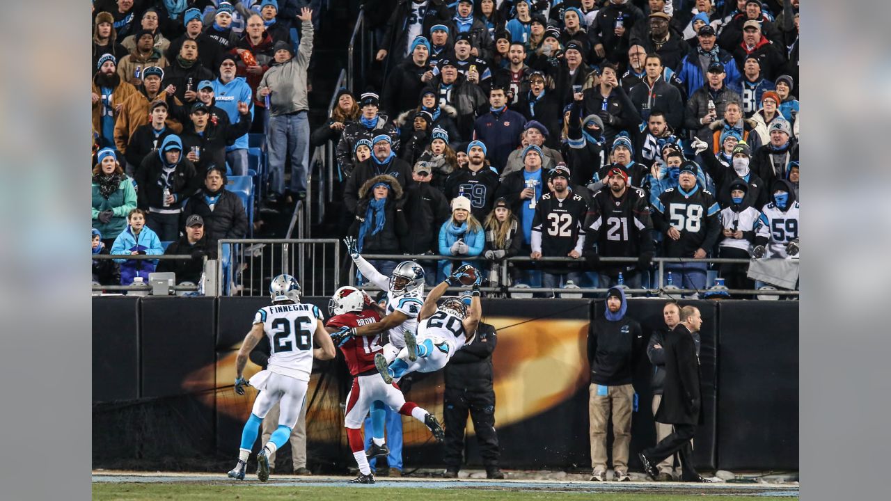 25 Seasons of Panthers Football: Thanksgiving feast typifies special 2015  campaign