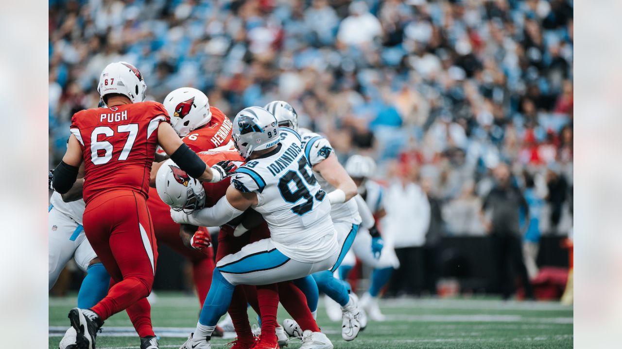 Panthers offense sputters in 26-16 loss to Cardinals