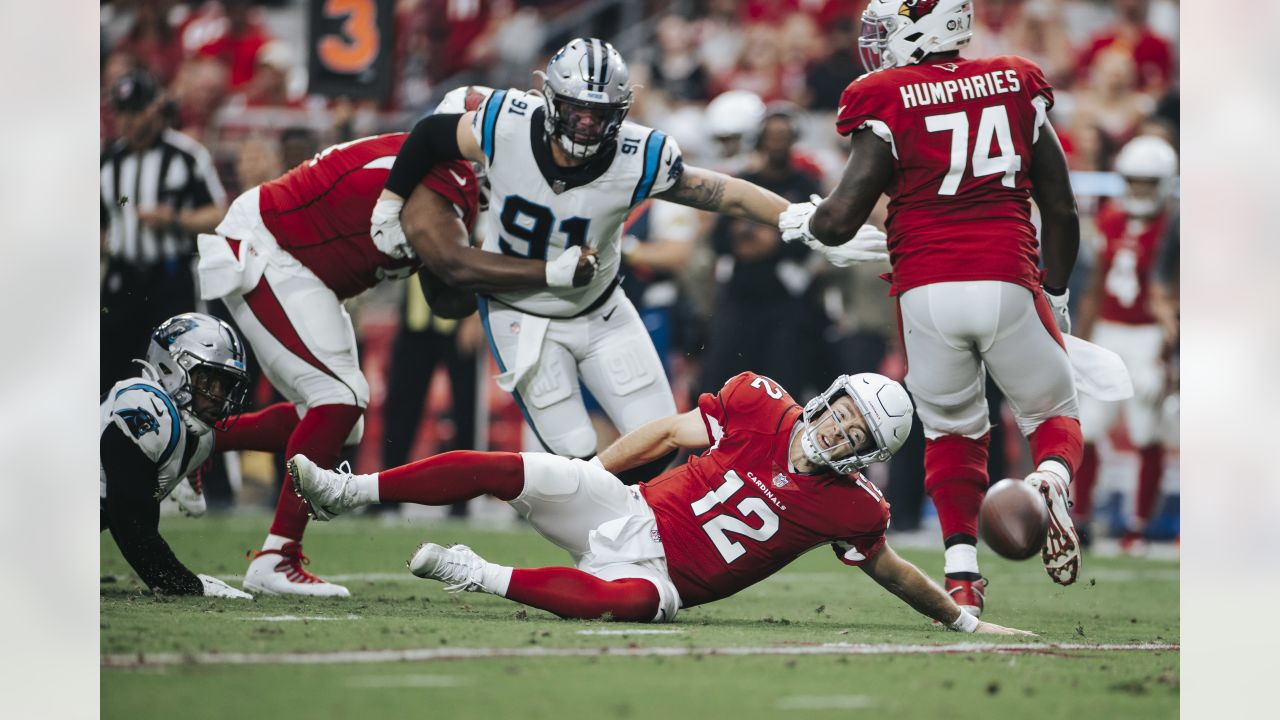 Newton, defense lead Panthers past Cardinals 27-16