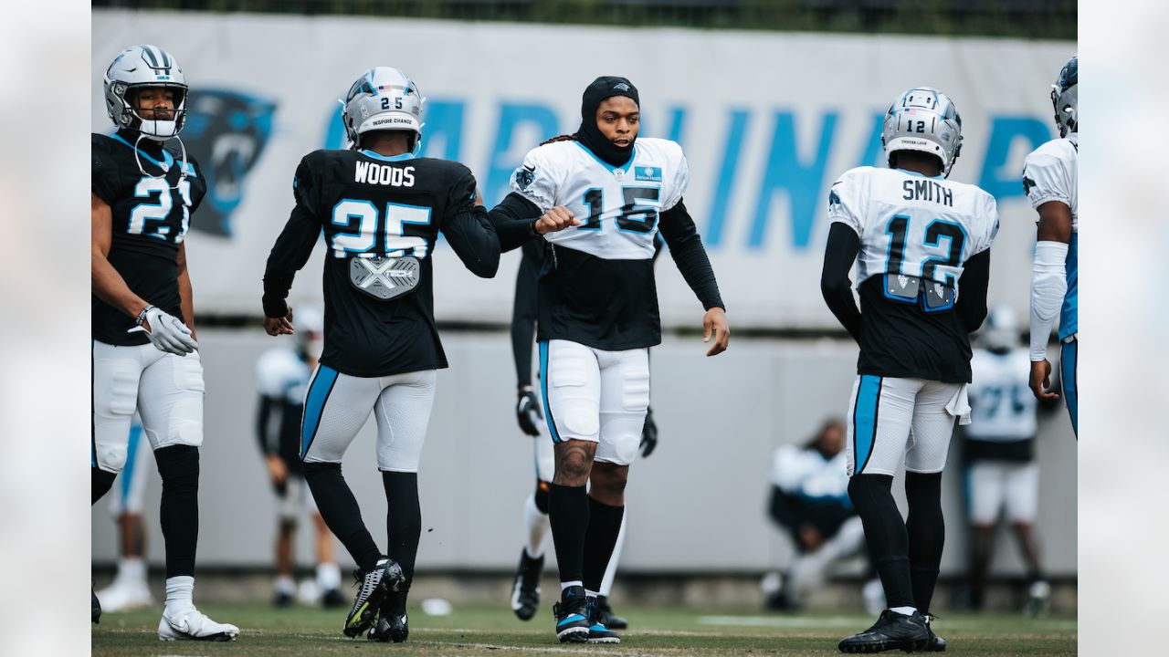 Sam Franklin Jr. #42 of the Carolina Panthers in action against