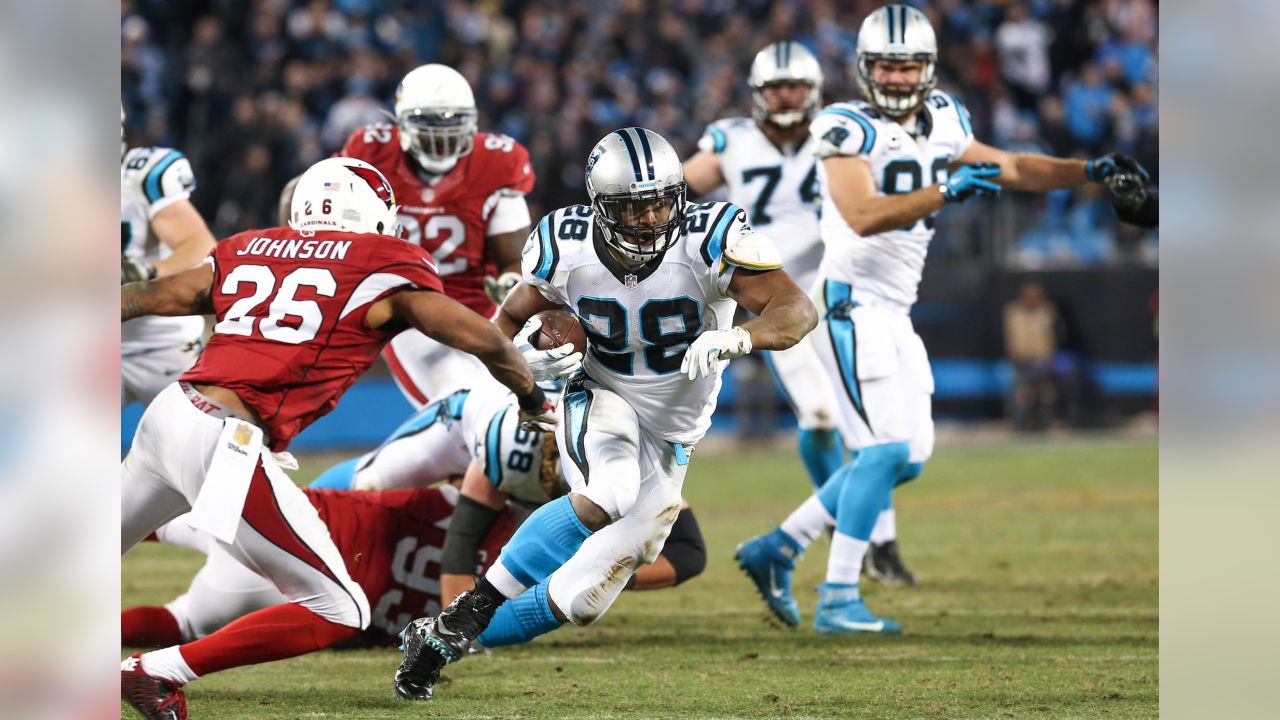 NFL-best Cardinals try to keep mojo vs. struggling Panthers - The San Diego  Union-Tribune