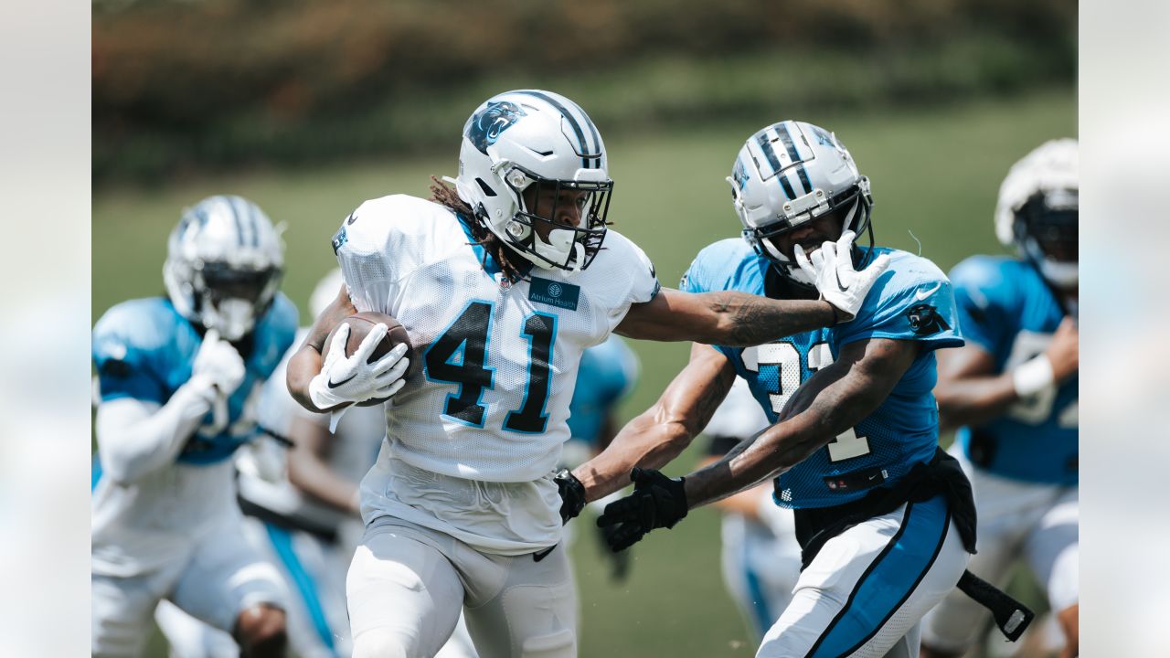 Panthers release initial depth chart: Examining the good and