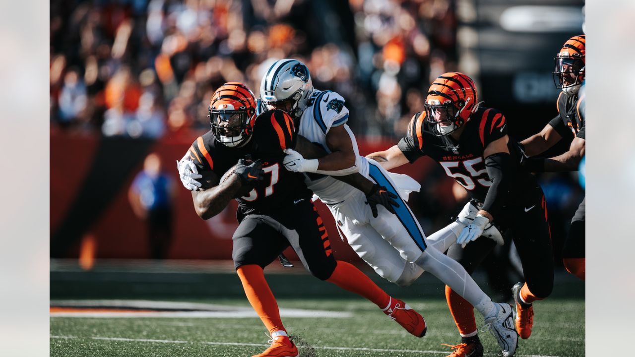 Cincinnati Bengals dominate Carolina Panthers in easy 42-21 victory