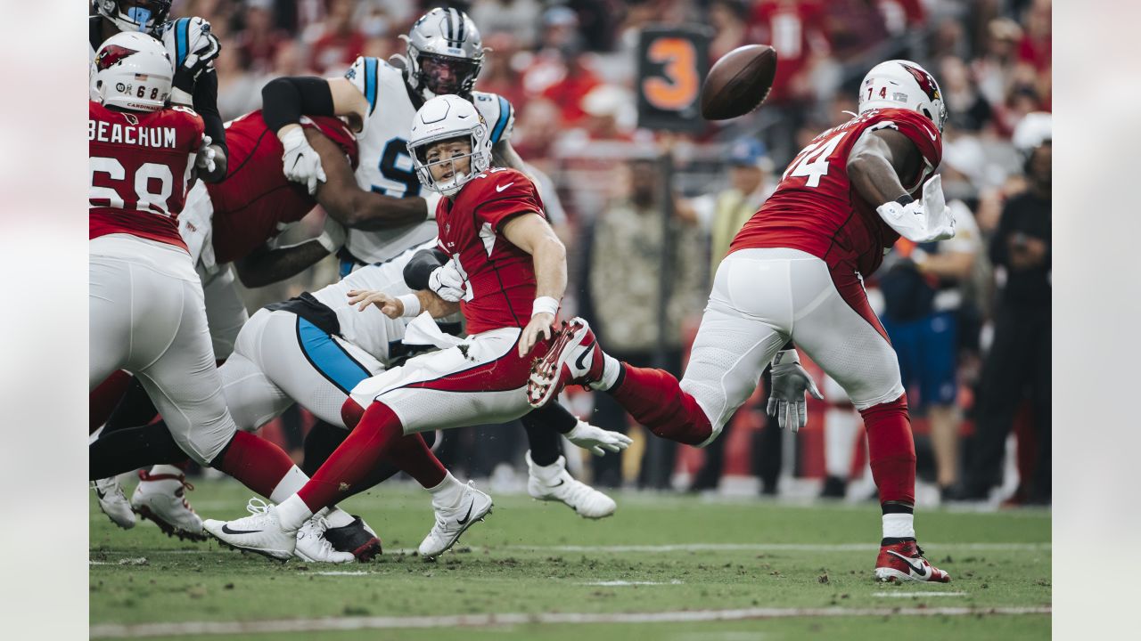 Panthers, Led by Flashy Cam Newton, Swamp Flailing Cardinals - The New York  Times