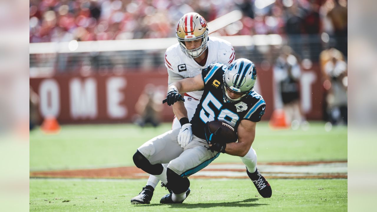 Panthers 13 49ers 51: The Hog Molly Report - Cat Scratch Reader