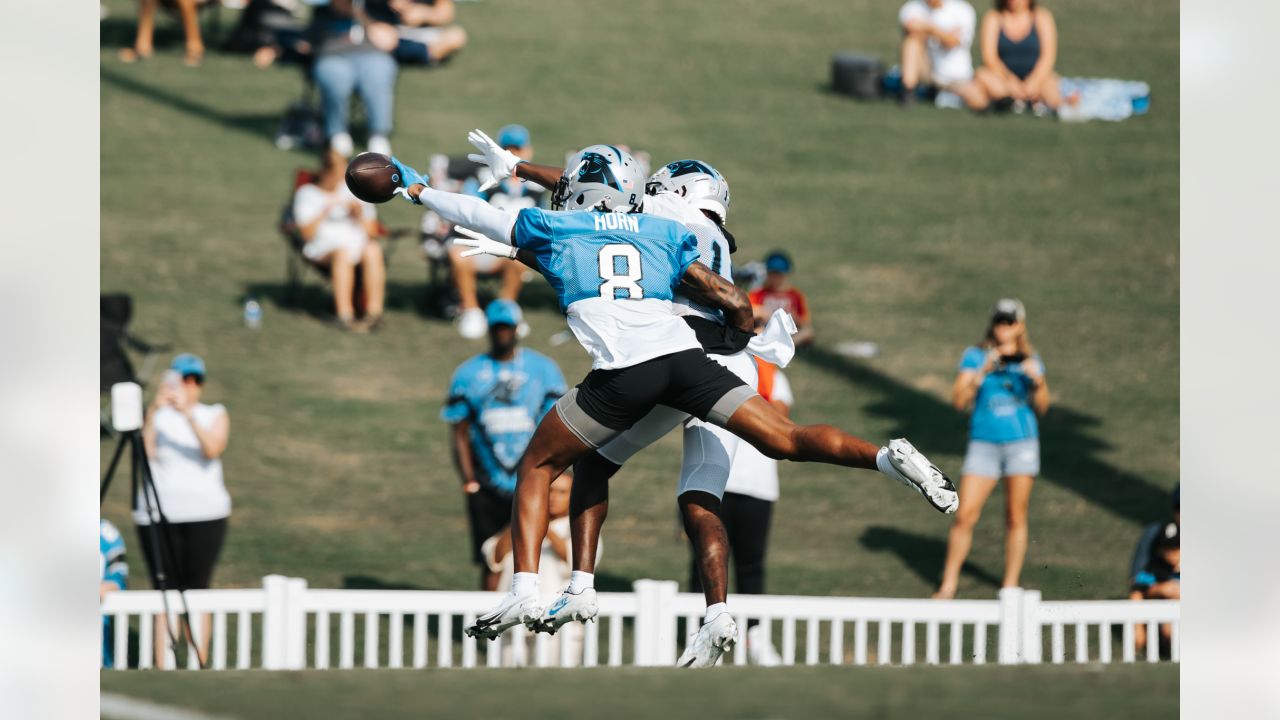 Femme au foyer: Carolina Panthers training camp