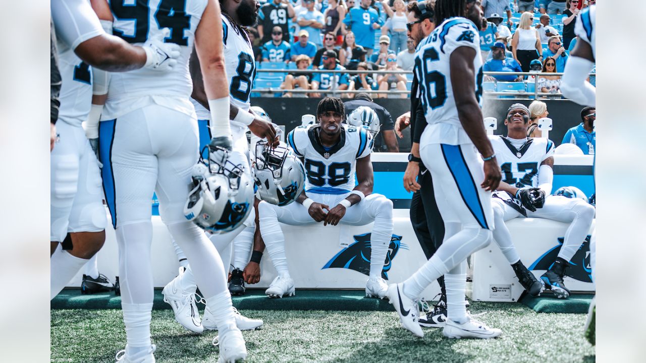 Carolina Panthers News: Bryce Young, Matt Corral, Ikem Ekwonu and Marquan  McCall