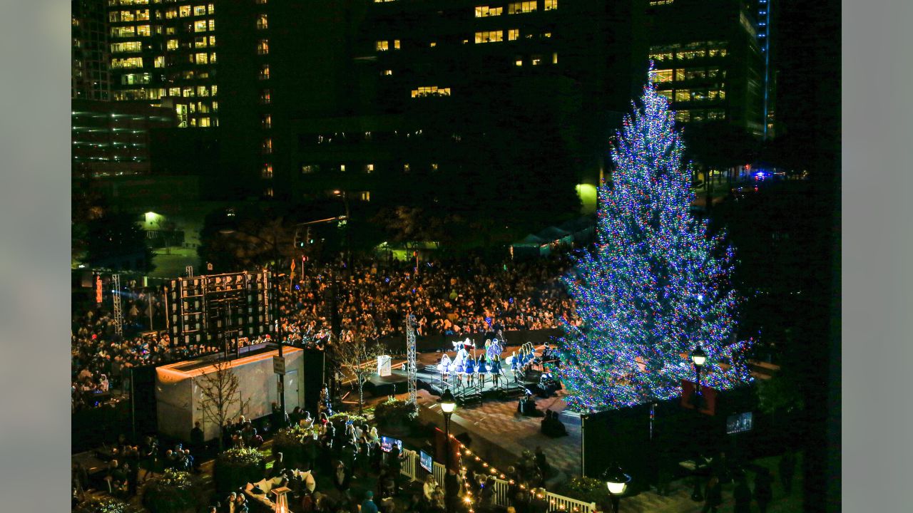 Carolina Panthers Christmas Tree #KeepPounding  Carolina panthers christmas,  Carolina panthers, Carolina panthers football