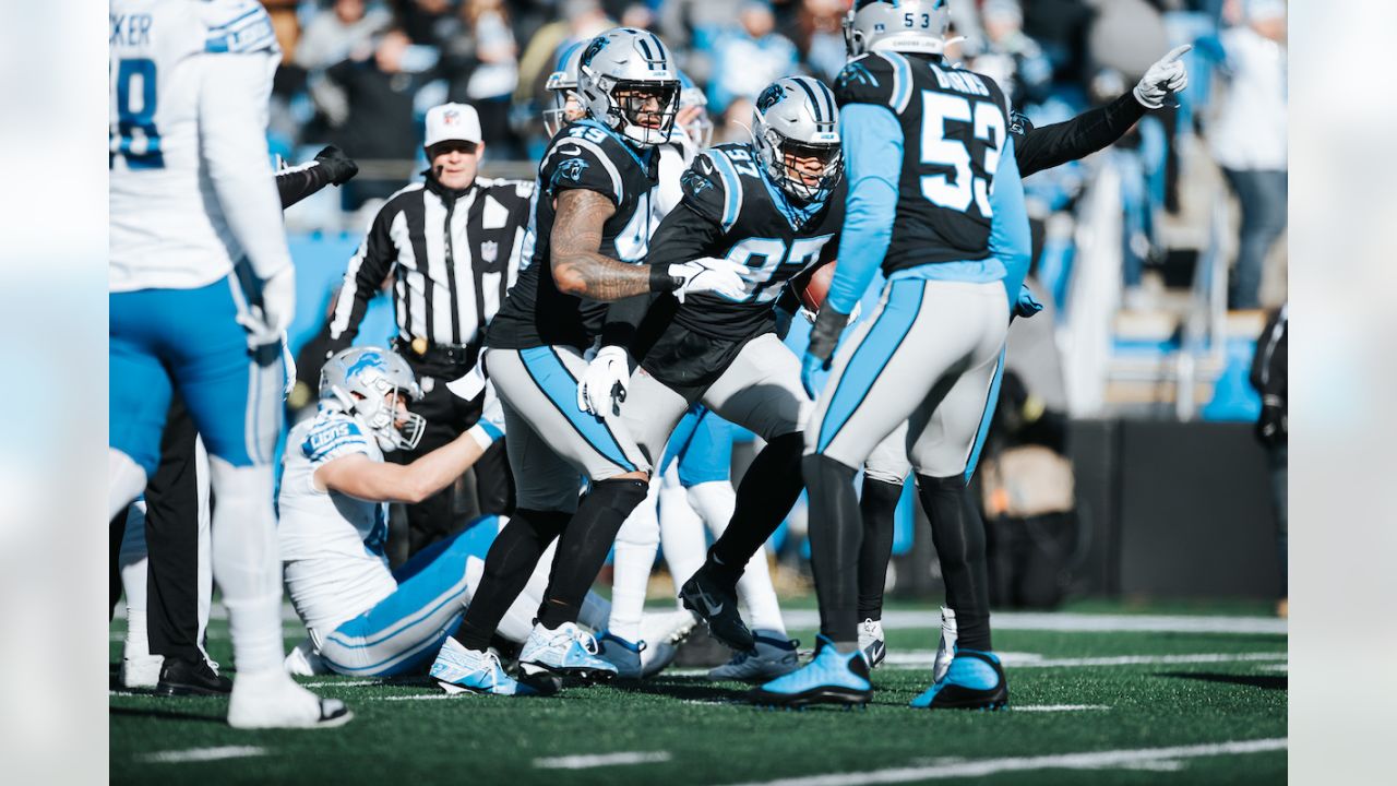 140 Carolina Panthers ideas  carolina panthers, panthers, nfc south