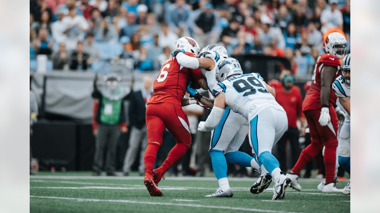 Rapid Reactions: Cardinals handled by Panthers in bad loss