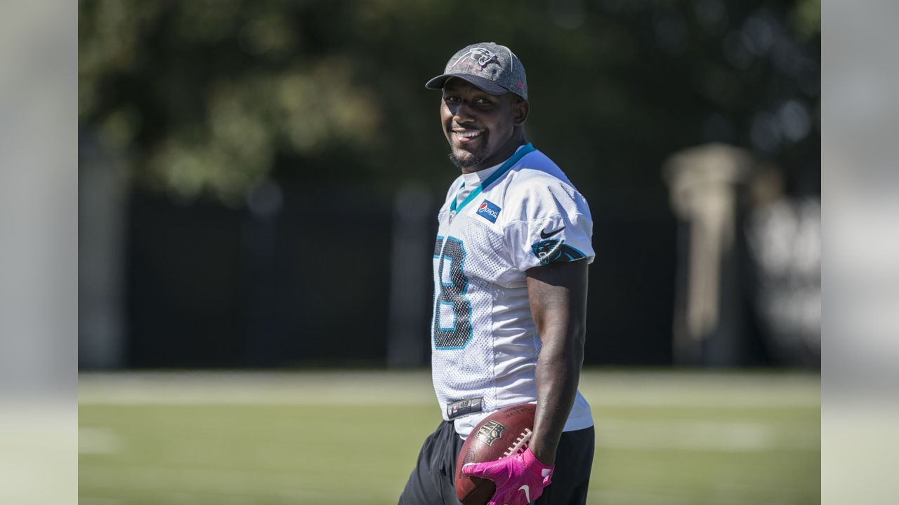 Former Griff Chris Manhertz Set to Make NFL Playoff Debut - Canisius  University Athletics