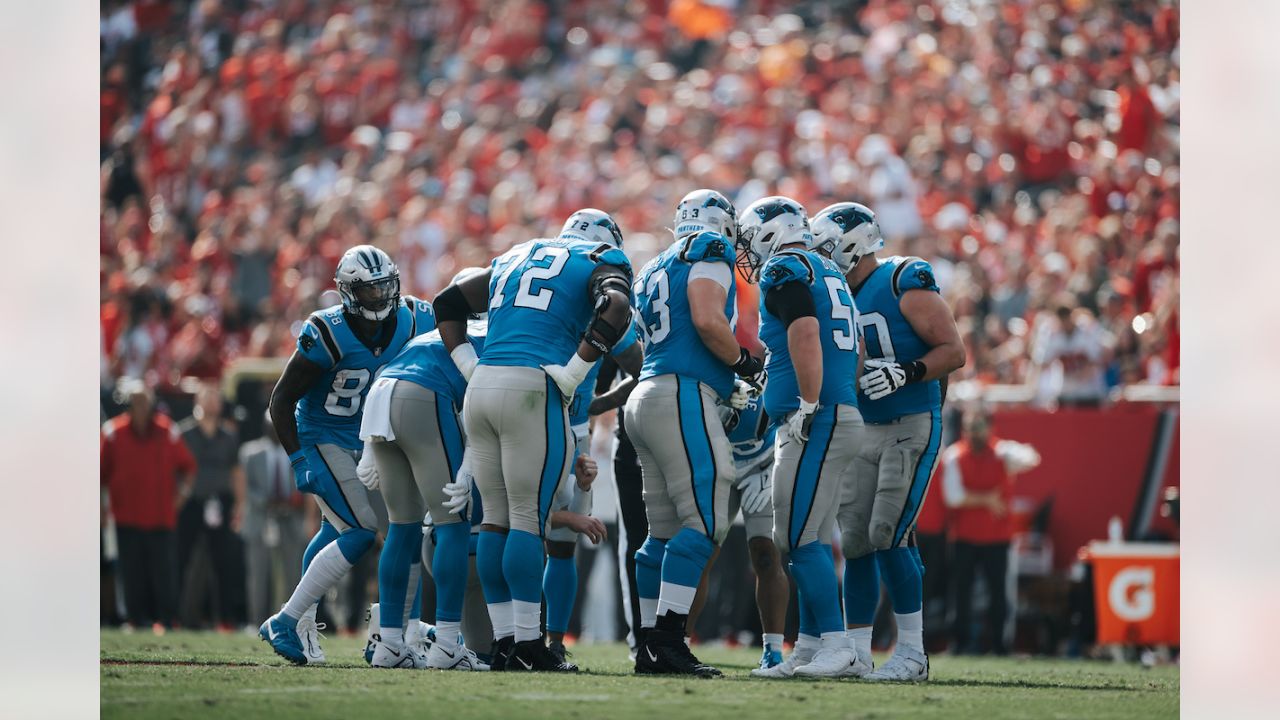 Carolina Panthers: Playoffs? Why fans should hope they get a chance