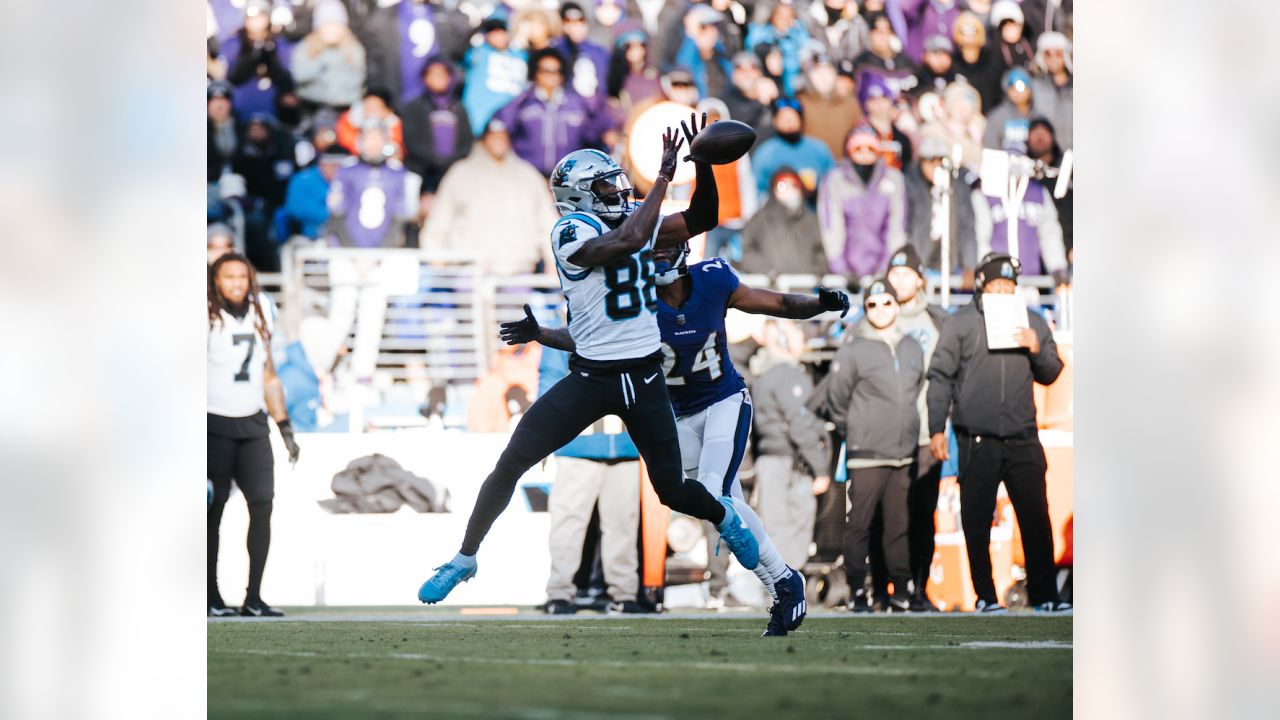 Rapid Reactions: Panthers fall, 13-3, at Baltimore