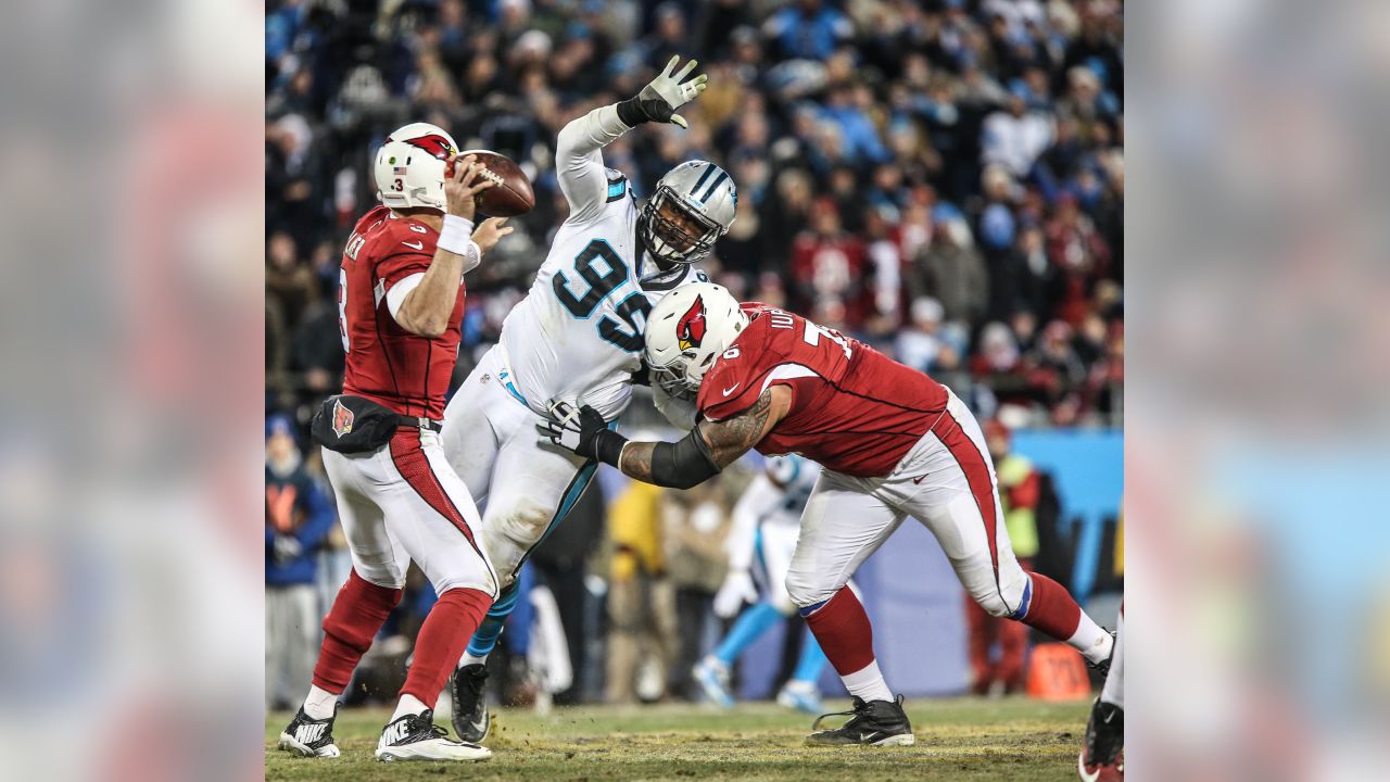 Can the Panthers Really Go 16-0? (Thanksgiving Day Recap)