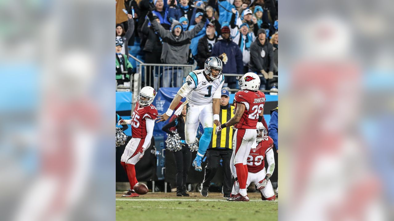 Cardinals vs. Panthers TV schedule: Start time, live stream, TV channel,  odds for Week 4 matchup - Revenge of the Birds