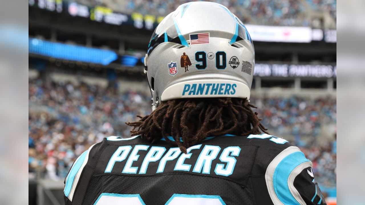 NFL, Julius Peppers contract with Carolina Panthers laden with sack  incentives