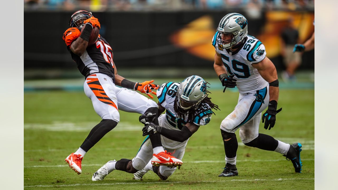 Carolina Panthers cornerback Donte Jackson (26) celebrates after a safety  during an NFL football game against the Philadelphia Eagles, Sunday, Oct.  10, 2021, in Charlotte, N.C. (AP Photo/Brian Westerholt Stock Photo - Alamy