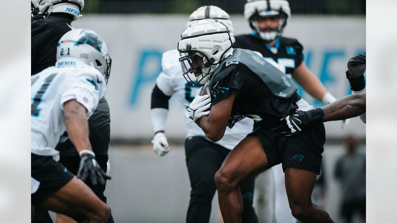 Panthers' Young battling ankle injury, status for Sunday uncertain - The  Sumter Item