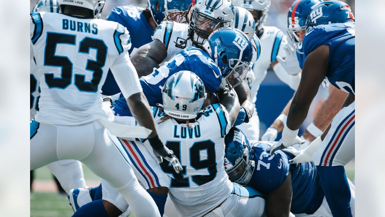 Carolina Panthers linebacker Frankie Luvu (49) looks on during an