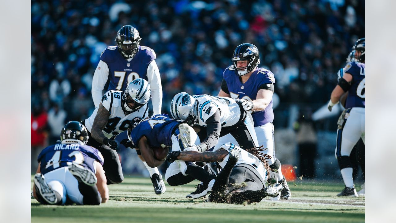 Photo: Baltimore Ravens defeat Carolina Panthers 13-3 in Baltimore -  BAL20221120121 