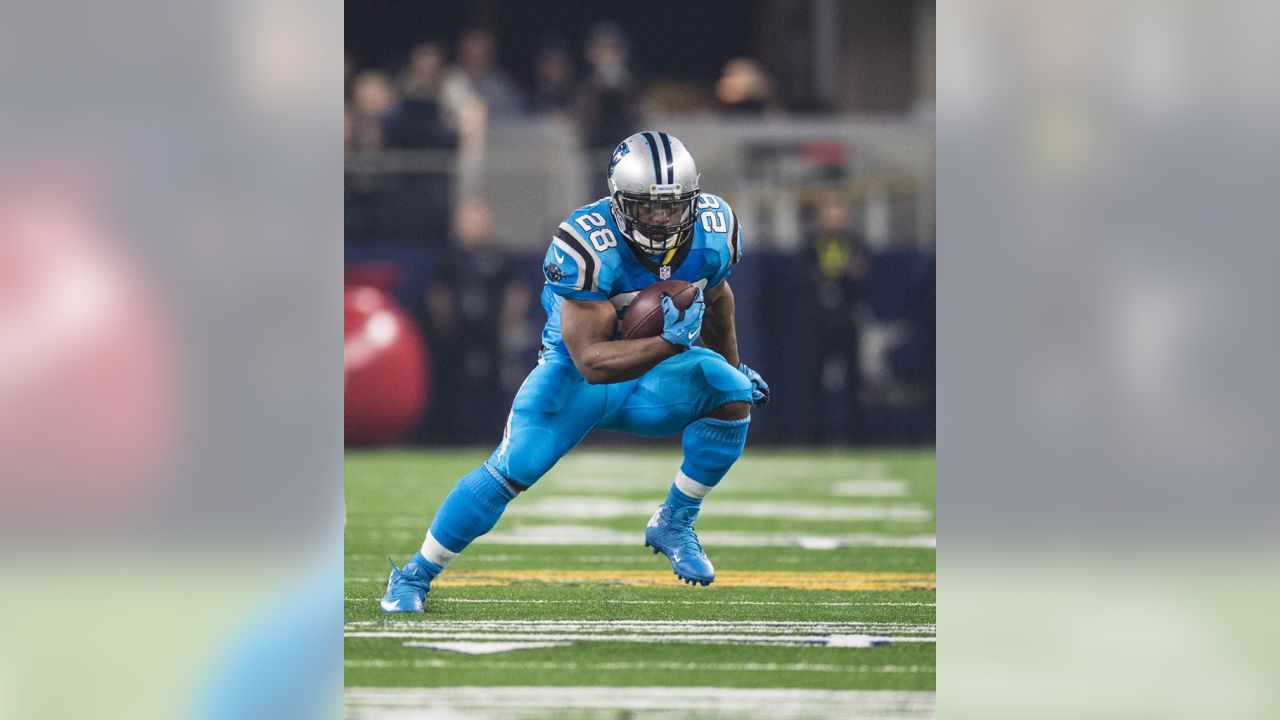 Carolina Panthers' Jonathan Stewart (28) stands next to teammate