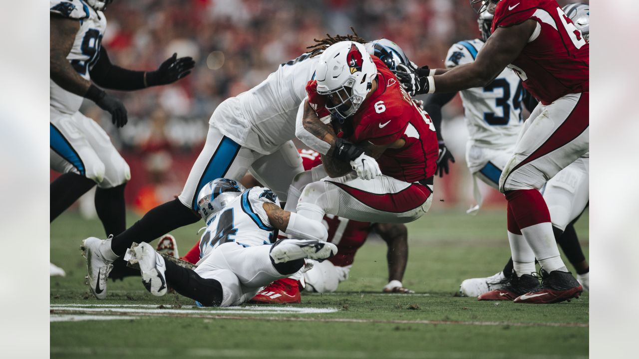 Cam Newton's 'super' effort leads Panthers to 49-15 rout of Cardinals