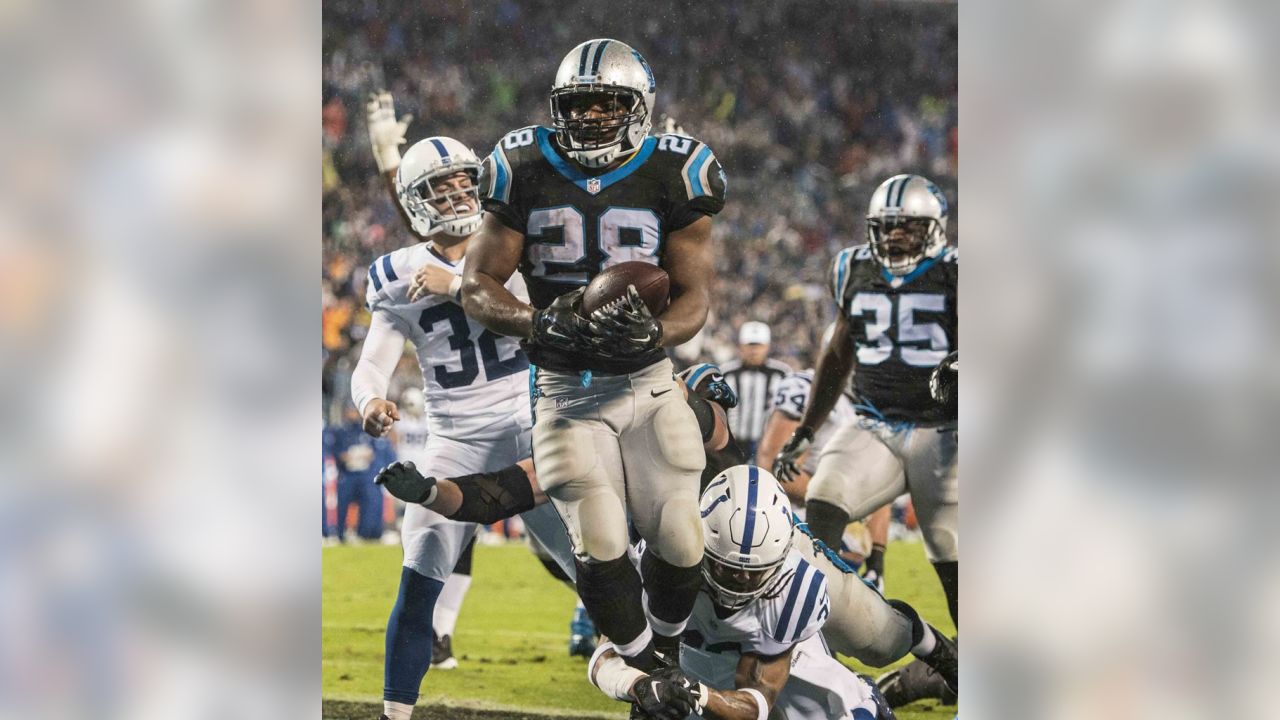 Jonathan Stewart Carolina Panthers NFL Football 8 x 10 Framed Photo with  Engraved Autograph